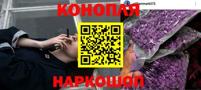 дживик Гусь-Хрустальный