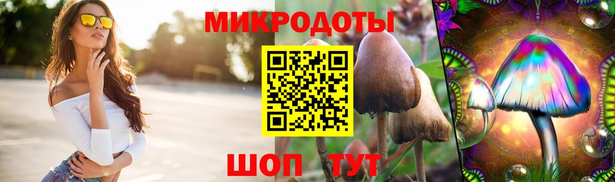 Галлюциногенные грибы мицелий  Псилоцибиновые грибы Cubensis  Холмск  Вход с VPN 